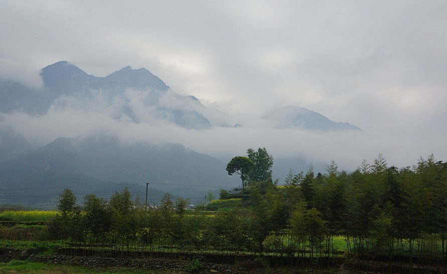 上传 (24).jpg