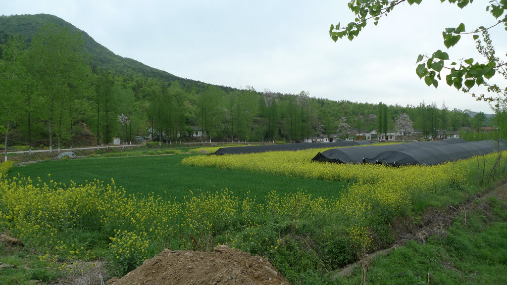 p1080654.jpg