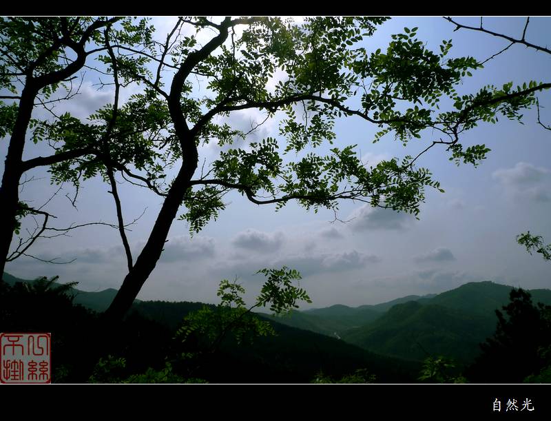 l1320523.jpg