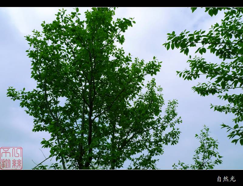 l1320579.jpg