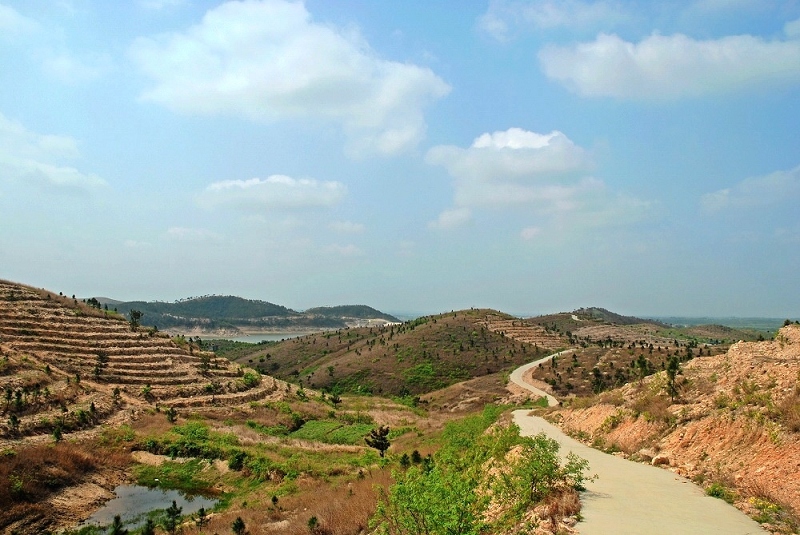dsc_0021a.jpg