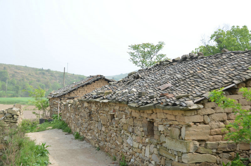203.jpg