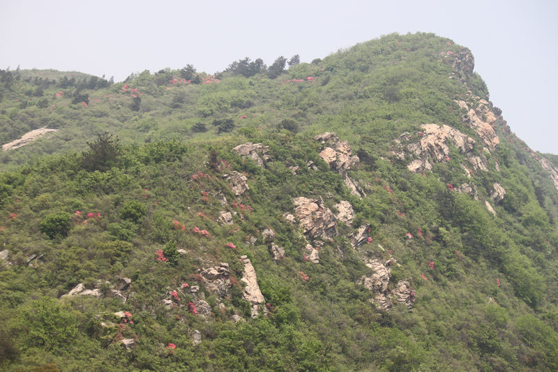 Ƭ 019.jpg