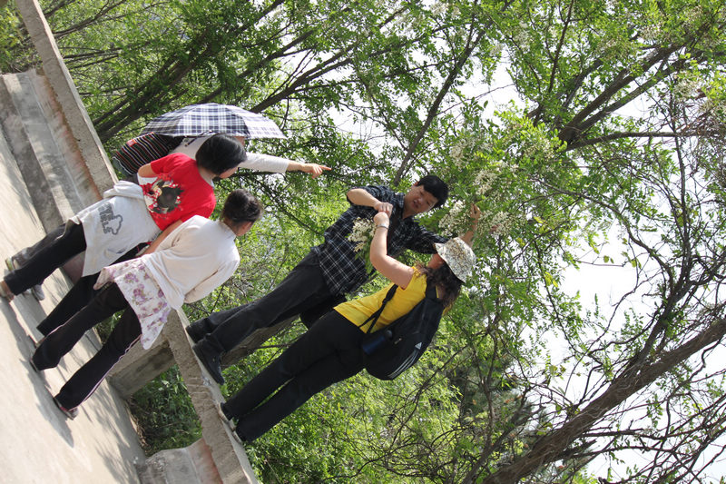 Ƭ 026.jpg
