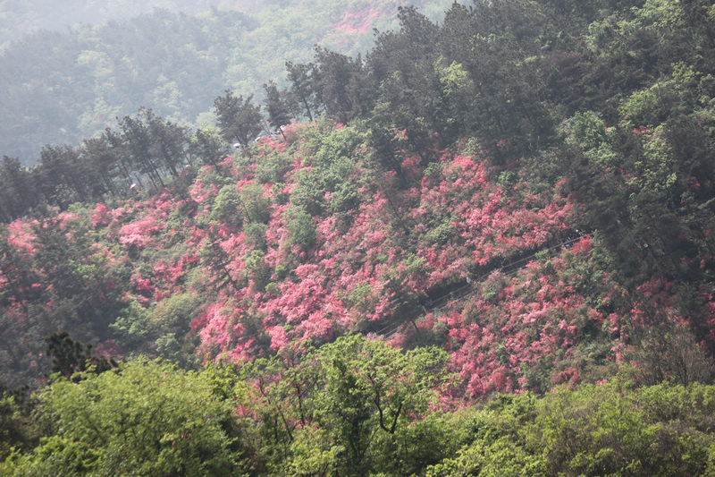 Ƭ 027.jpg
