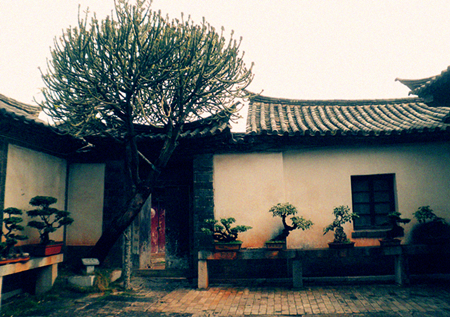p3040001.jpg