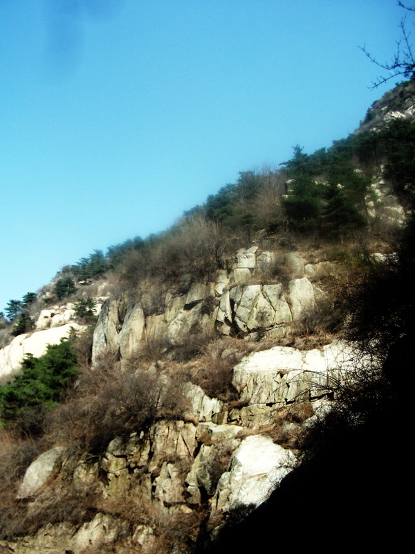 dscf0202.jpg