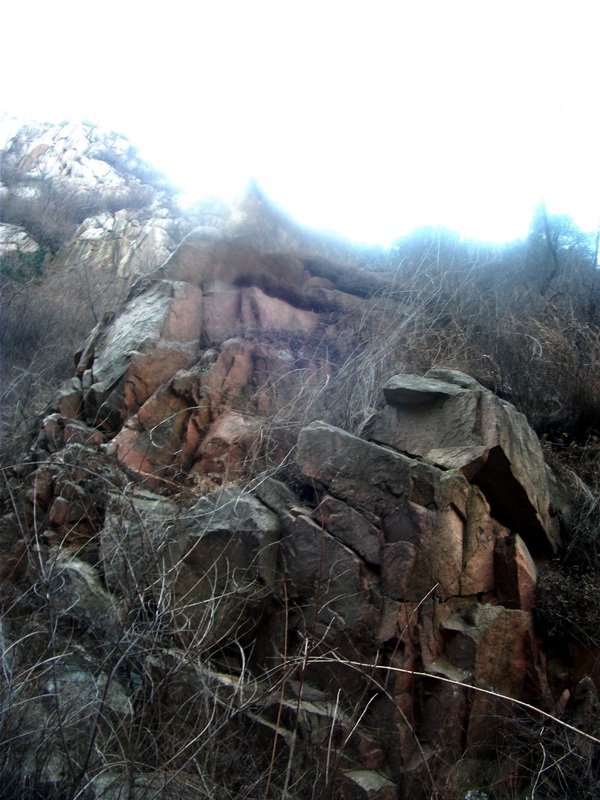 dscf0204.jpg