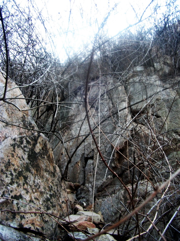 dscf0207.jpg