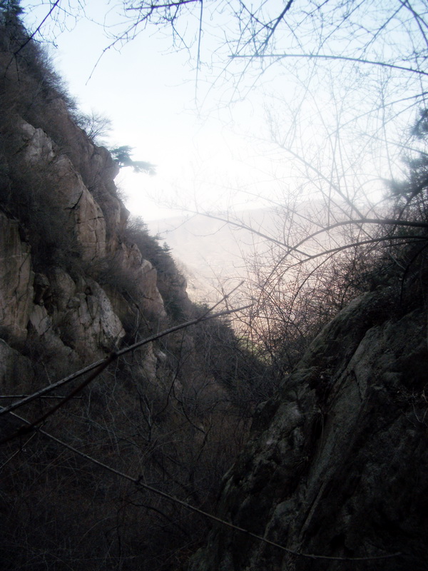 dscf0208.jpg