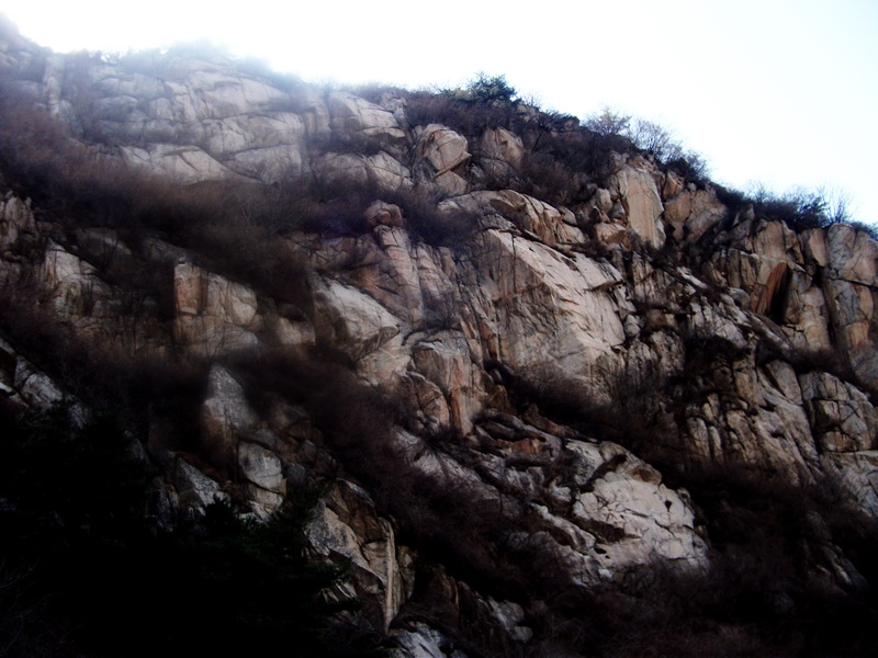 dscf0210.jpg