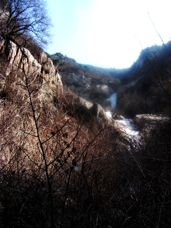 dscf0199.jpg