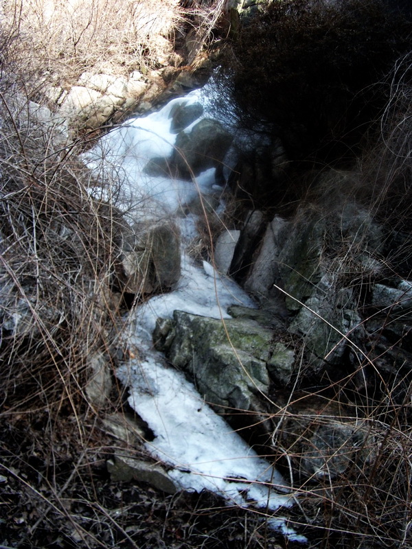 dscf0200.jpg