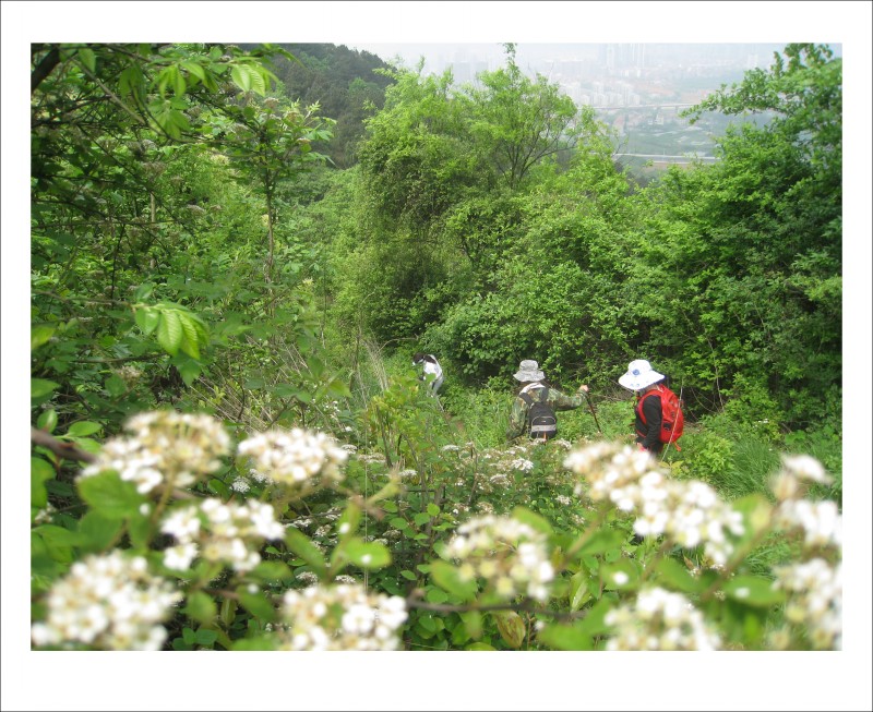 conew_img_2207.jpg