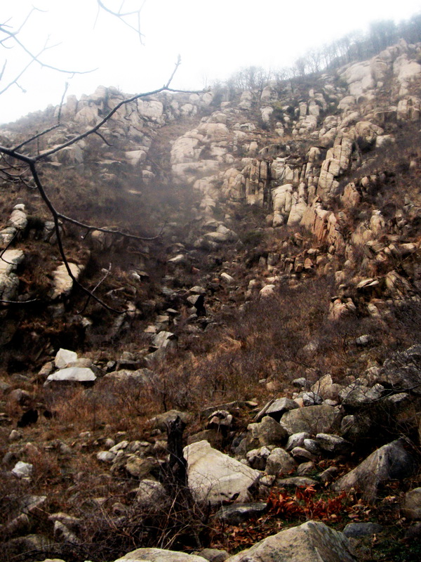 dscf0104.jpg