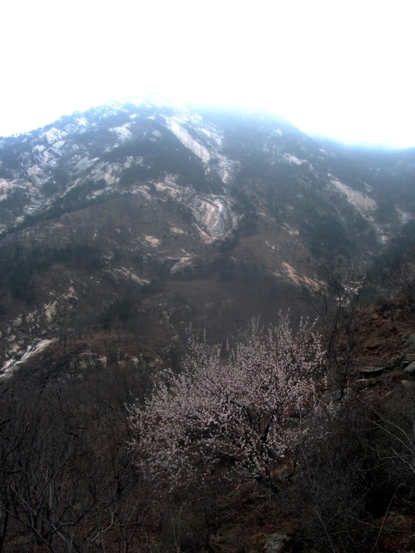 dscf0107.jpg