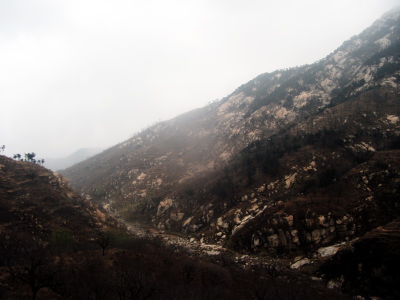 dscf0109.jpg