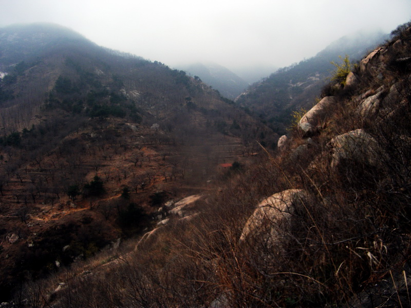 dscf0110.jpg