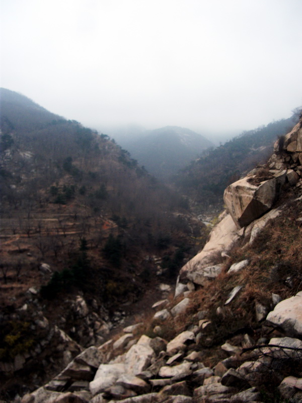 dscf0113.jpg