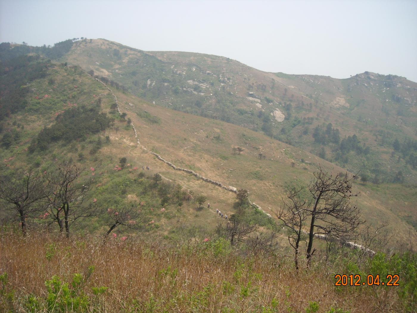 Ƭ 018.jpg