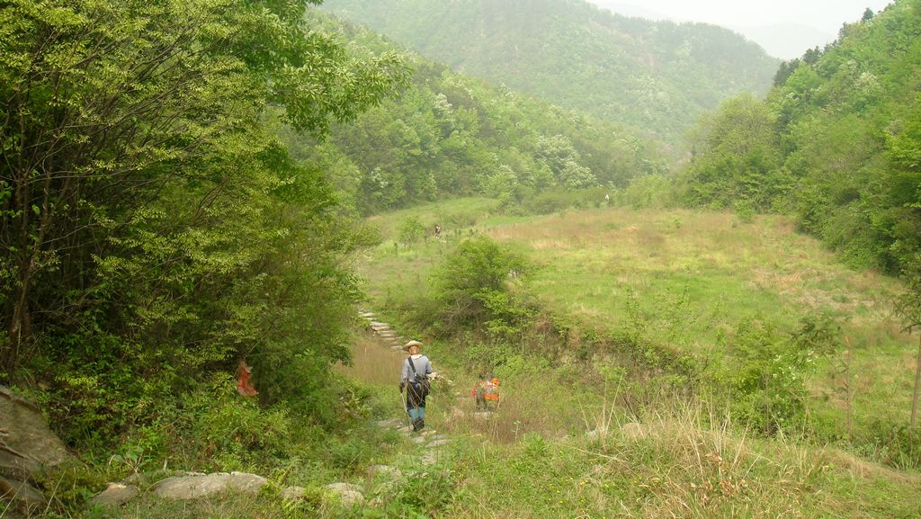 dsc00602.jpg