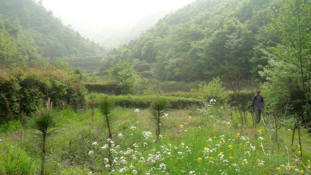 dsc00605.jpg