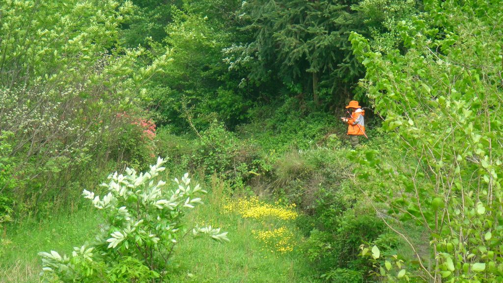 dsc00607.jpg