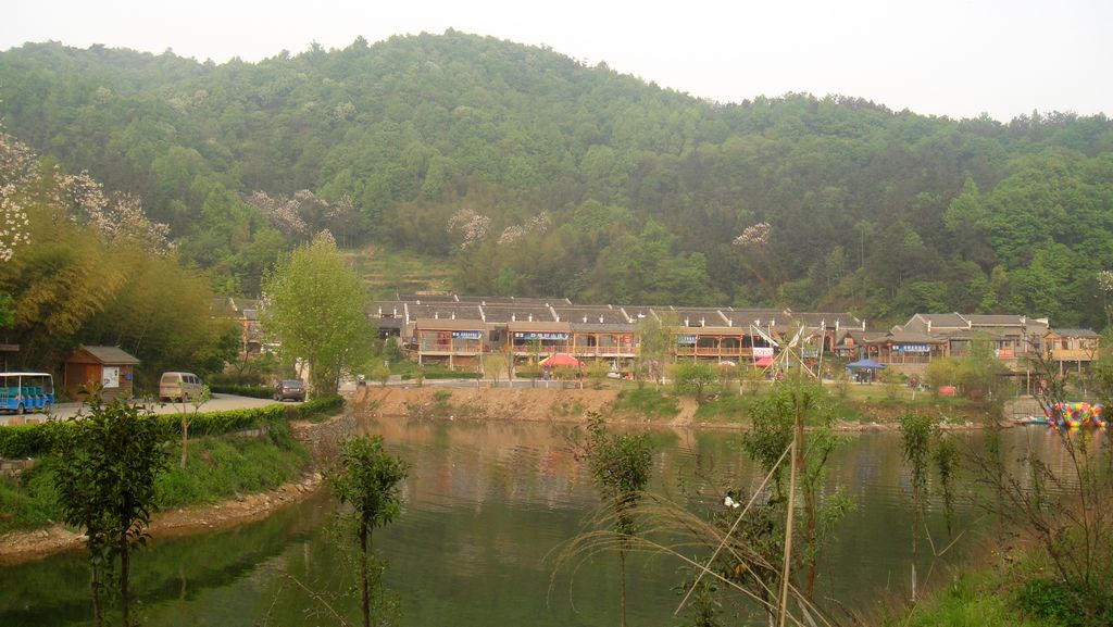 dsc00610.jpg