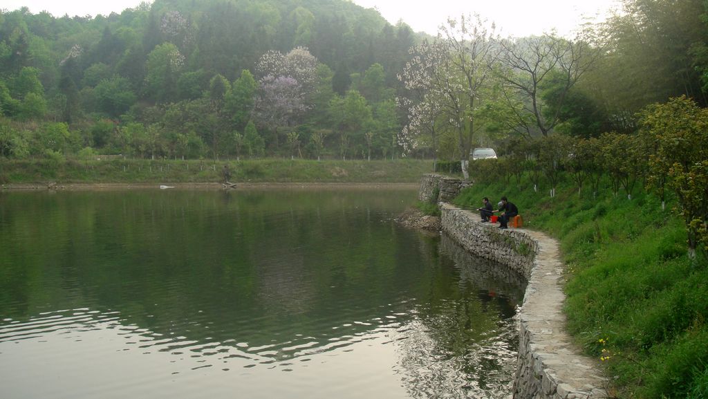 dsc00613.jpg