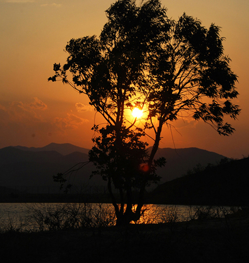 dsc_0082.jpg