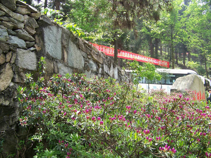100_9716.jpg