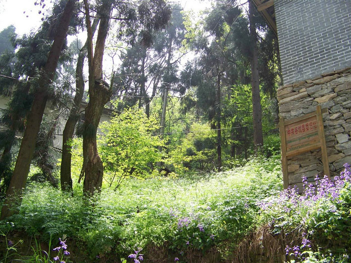 100_9748.jpg