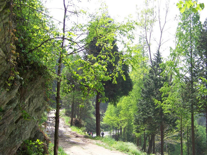 100_9823.jpg
