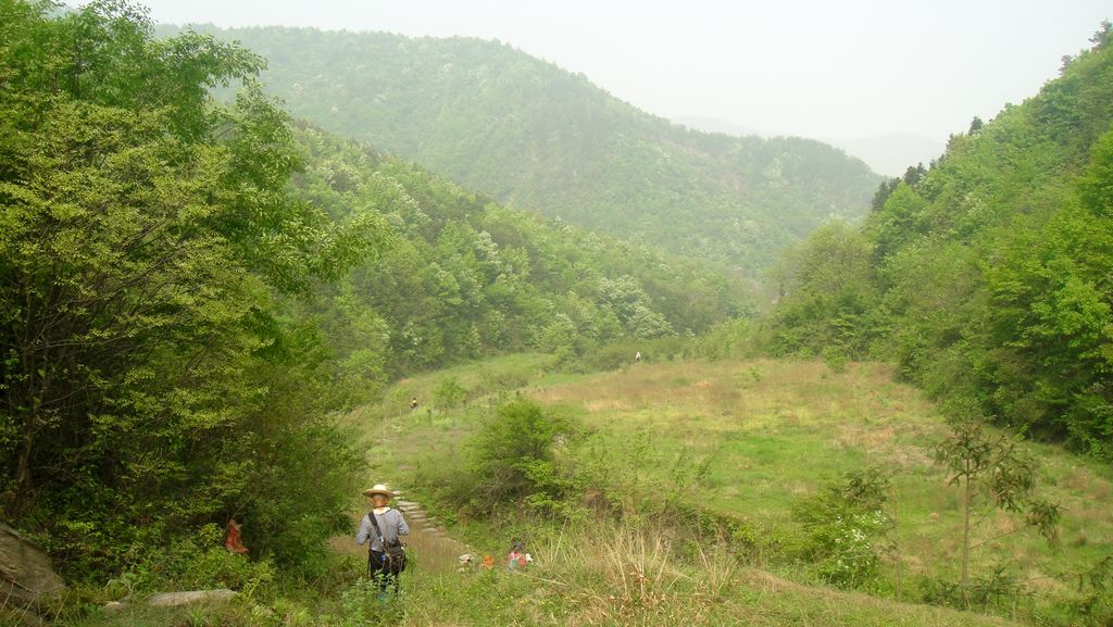 dsc00601.jpg