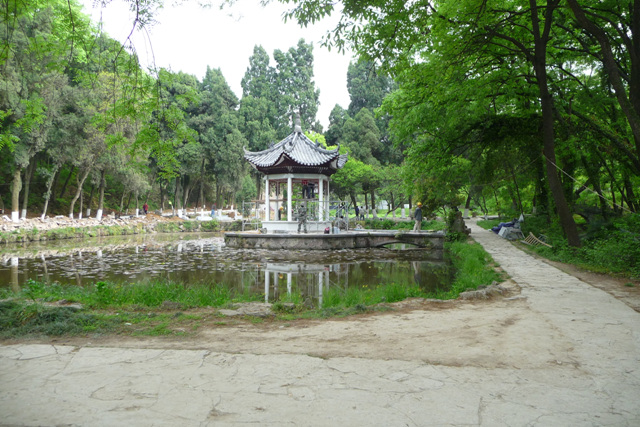 p1020648.jpg