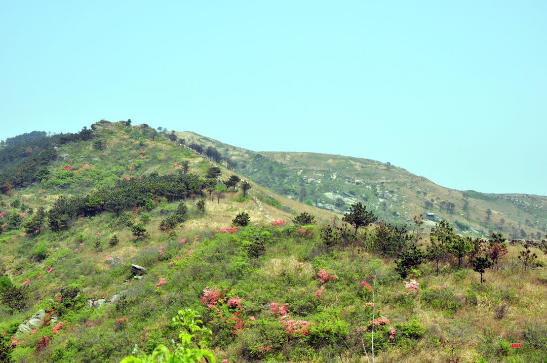 dsc_0802.jpg