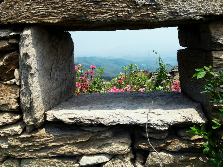 p1000873.jpg