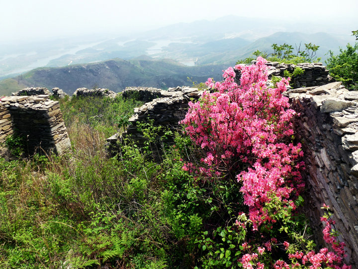 p1000878.jpg