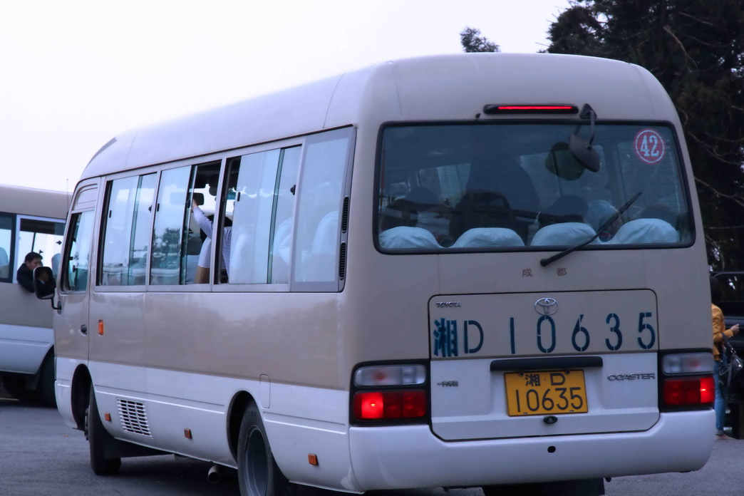 z29.jpg