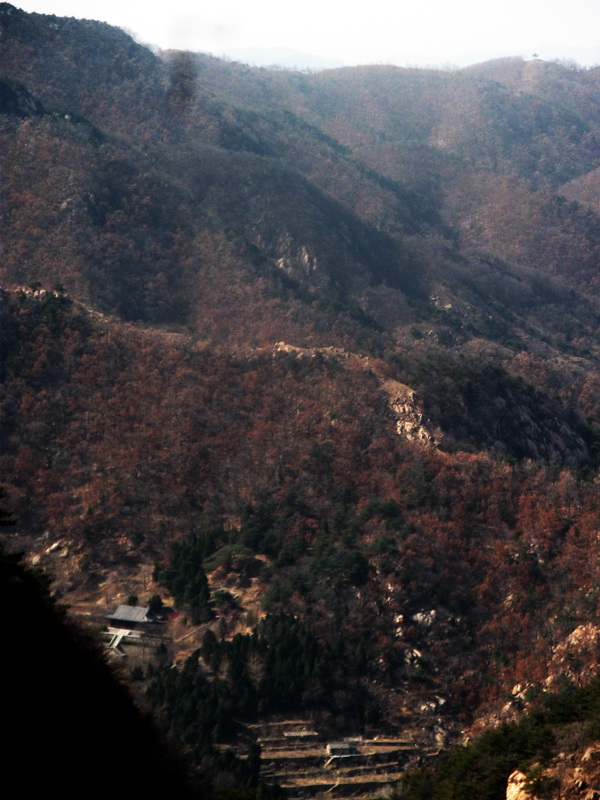 dscf0221.jpg