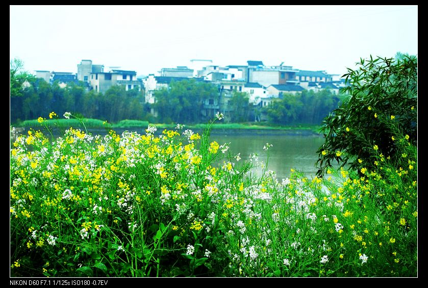 neo_img_պ֮ 036_conew1.jpg