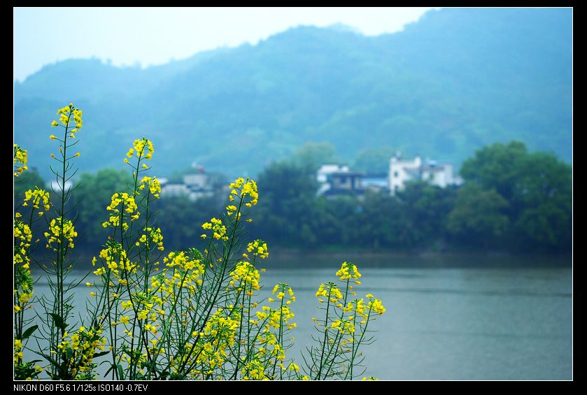 neo_img_պ֮ 035_conew1.jpg