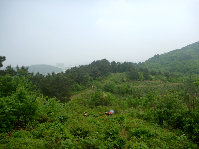 p1110344_.jpg