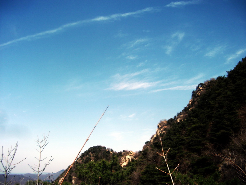 dscf0228.jpg