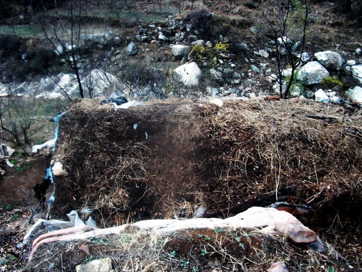 dscf0114.jpg