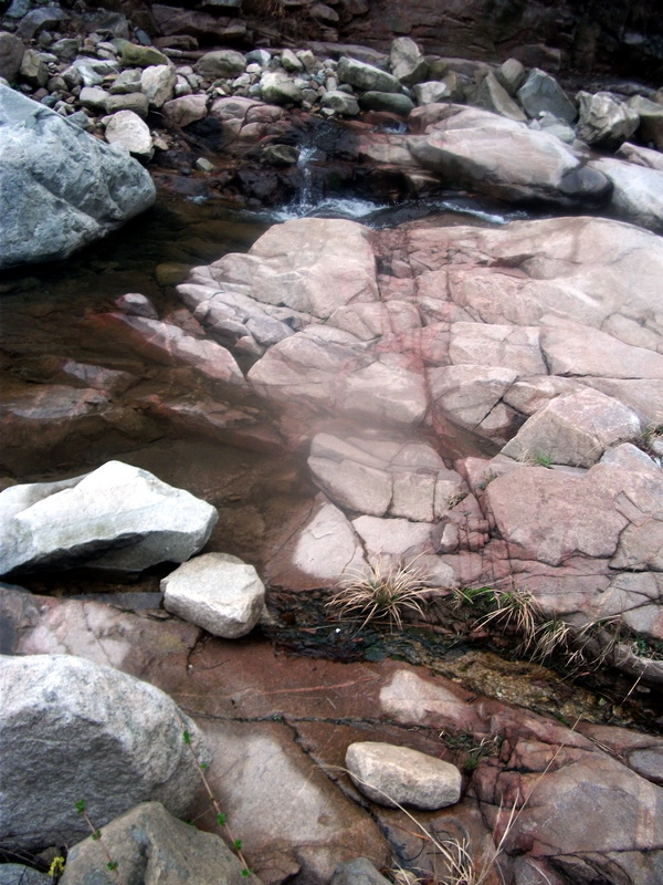 dscf0115.jpg