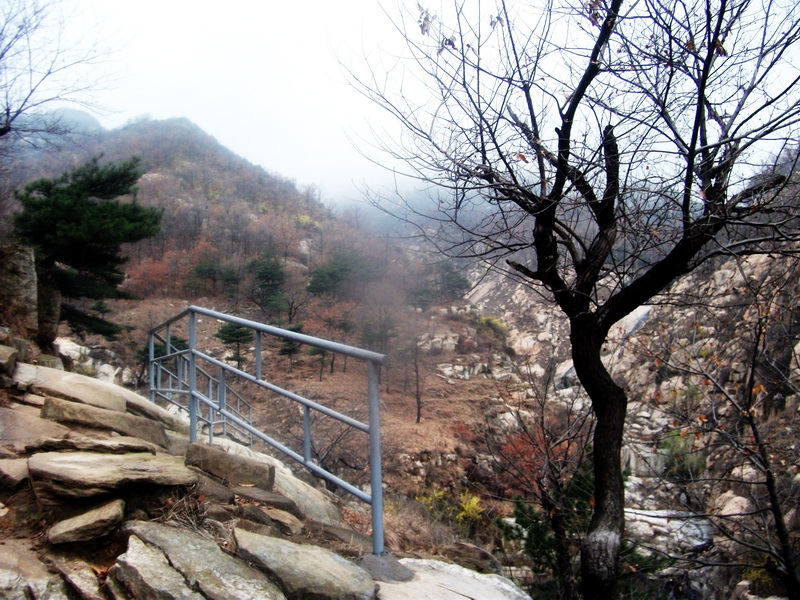 dscf0118.jpg