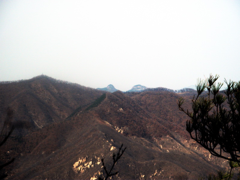 dscf0224.jpg