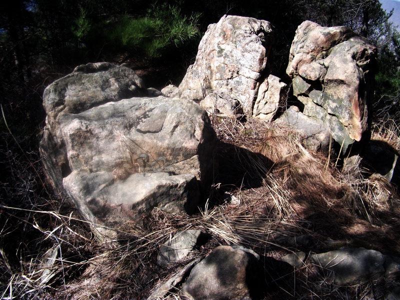 dscf0233.jpg