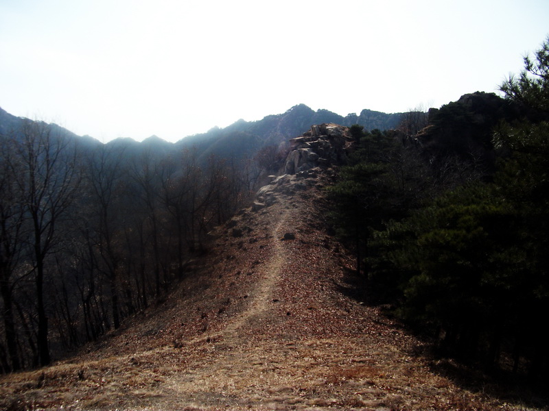 dscf0234.jpg
